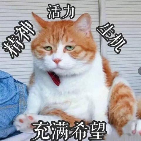 挖坑埋自己于2020-02-06 13:00发布的图片