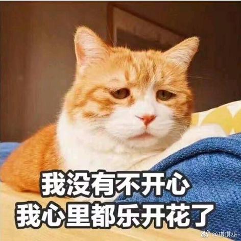 挖坑埋自己于2020-02-06 13:00发布的图片