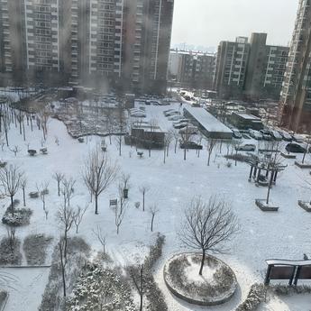 哥斯拉的小表妹于2020-02-07 11:40发布的图片