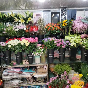 已注销于2020-02-09 15:13发布的图片