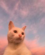 fullofstar的个人资料头像