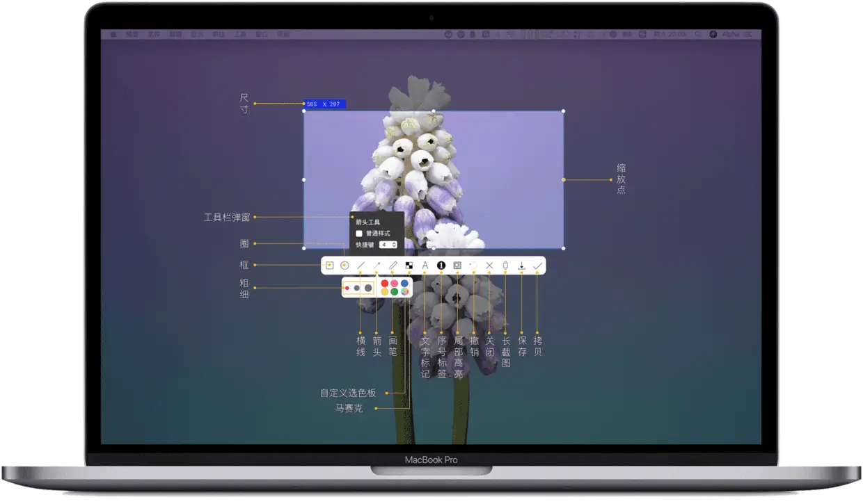 iShot官方介绍图