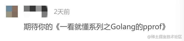 一看就懂系列之Golang的pprof前言正文参考文献