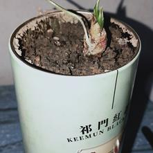 张风捷特烈于2020-03-10 19:51发布的图片