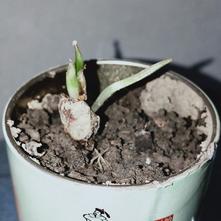 张风捷特烈于2020-03-10 19:51发布的图片