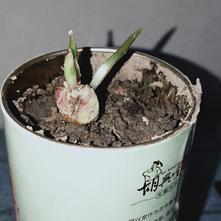 张风捷特烈于2020-03-10 19:51发布的图片