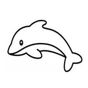 physails的个人资料头像