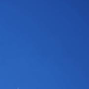 eurekaego的个人资料头像