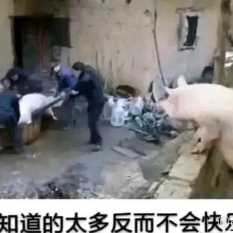 树洞robot于2020-03-11 09:29发布的图片