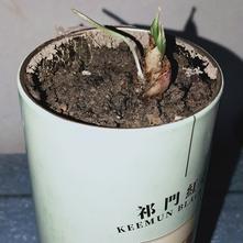 张风捷特烈于2020-03-11 18:45发布的图片