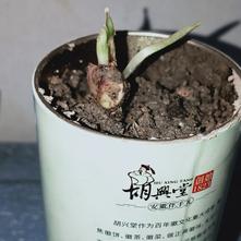 张风捷特烈于2020-03-11 18:45发布的图片