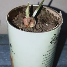 张风捷特烈于2020-03-11 18:45发布的图片