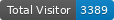 Total visitor