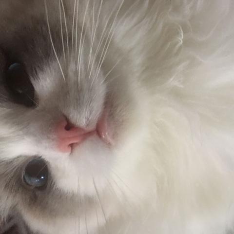 杭城小刘于2020-03-11 21:51发布的图片