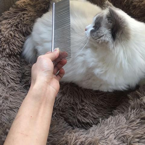 杭城小刘于2020-03-11 21:51发布的图片