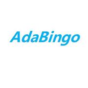 adabingo的个人资料头像