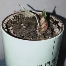 张风捷特烈于2020-03-12 19:04发布的图片