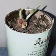 张风捷特烈于2020-03-12 19:04发布的图片