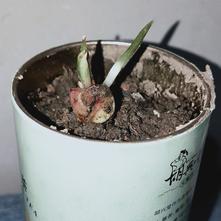 张风捷特烈于2020-03-12 19:04发布的图片