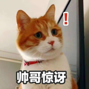 黄小满的个人资料头像