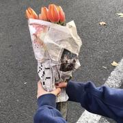 程序媛诺的个人资料头像