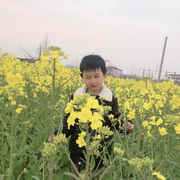 litaomn的个人资料头像