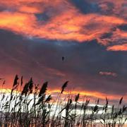 Marvintian的个人资料头像