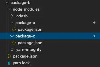 lodash仅安装了一次