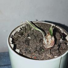 张风捷特烈于2020-03-13 19:05发布的图片