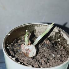 张风捷特烈于2020-03-13 19:05发布的图片