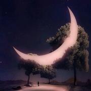 那年大暑的个人资料头像