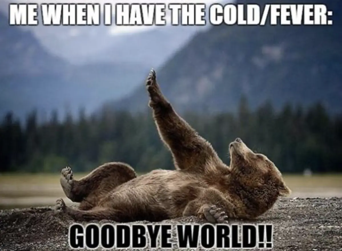 图片来源网络，侵删