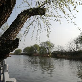 upempty于2020-03-14 18:29发布的图片