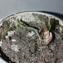 张风捷特烈于2020-03-14 20:26发布的图片