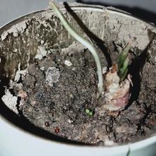 张风捷特烈于2020-03-14 20:26发布的图片