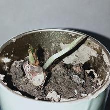 张风捷特烈于2020-03-14 20:26发布的图片