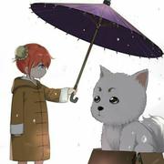 伤心童话的个人资料头像