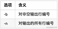 常用参数