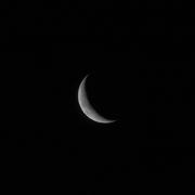 guo小白的个人资料头像