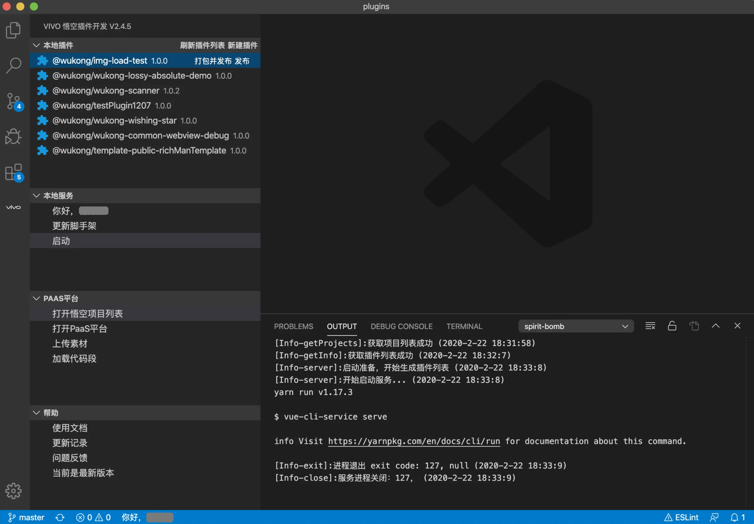 图6 - vscode插件截图
