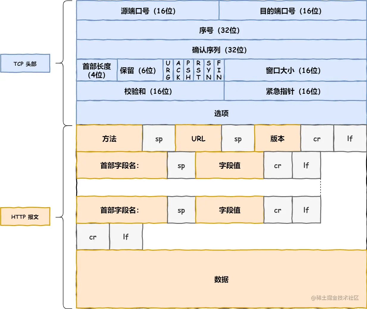 TCP 层报文