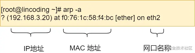 ARP 缓存内容