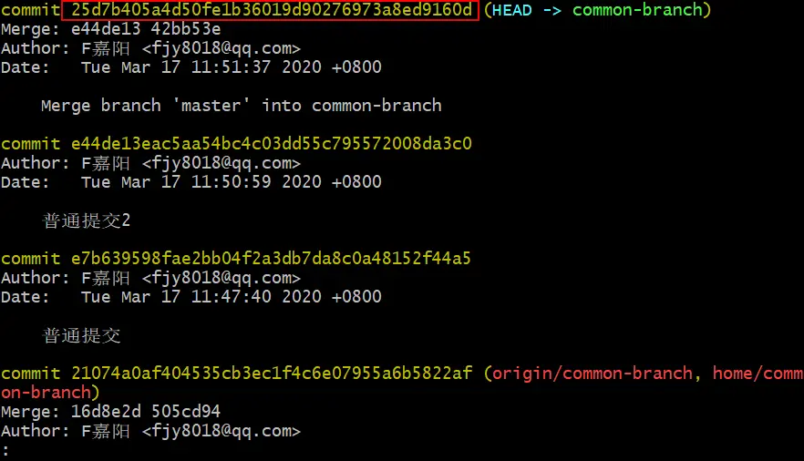 image-20200317115622215