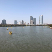 会飞的鱼本尊59143的个人资料头像