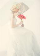 程序zhu的个人资料头像