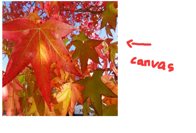 leaves-canvas.jpg