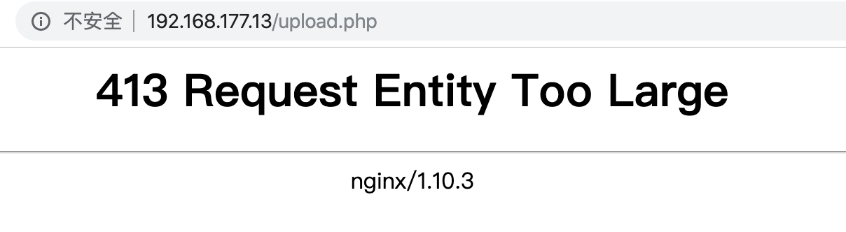 大文件返回413
