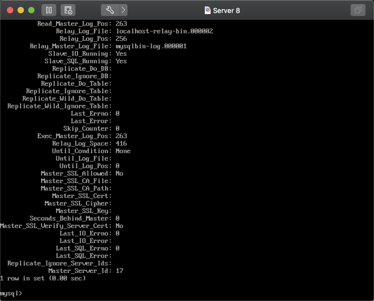 SHOW SLAVE STATUS \G