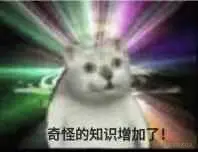 Nest.js从零到壹系列（一）：项目创建&路由设置&模块
