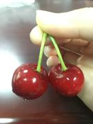 Eillen的个人资料头像